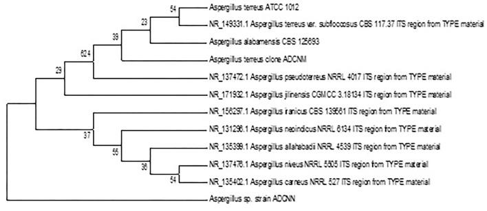https://cdn.ncbi.nlm.nih.gov/pmc/blobs/0e33/9335293/58295d9ac547/fpls-13-946217-g0002.jpg
