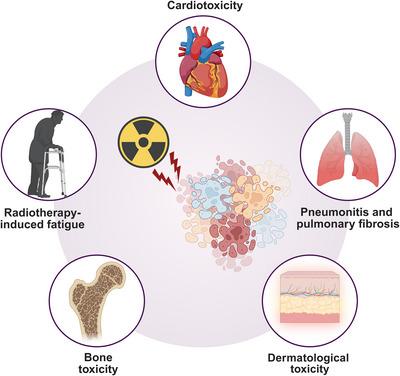 https://cdn.ncbi.nlm.nih.gov/pmc/blobs/0e35/12079026/41a8317407c8/MCO2-6-e70202-g002.jpg