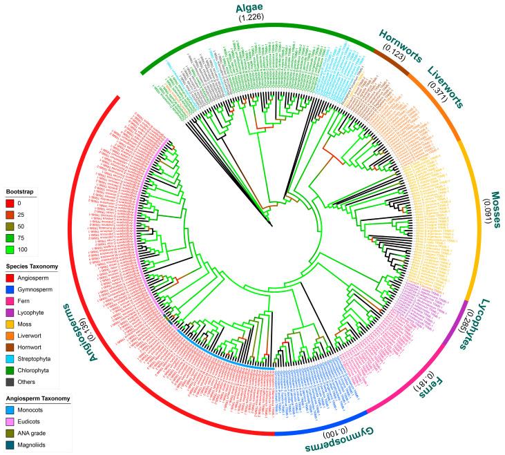 https://cdn.ncbi.nlm.nih.gov/pmc/blobs/0e37/12196605/d21dc194f1ac/plants-14-01778-g002.jpg