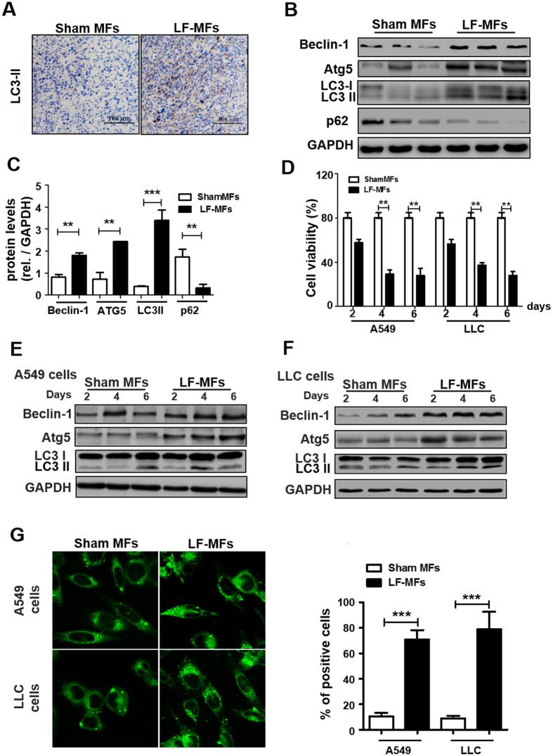 https://cdn.ncbi.nlm.nih.gov/pmc/blobs/0e37/5603574/6e18124b66cc/41598_2017_10407_Fig2_HTML.jpg