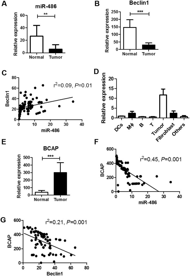 https://cdn.ncbi.nlm.nih.gov/pmc/blobs/0e37/5603574/94a0521bc72f/41598_2017_10407_Fig7_HTML.jpg
