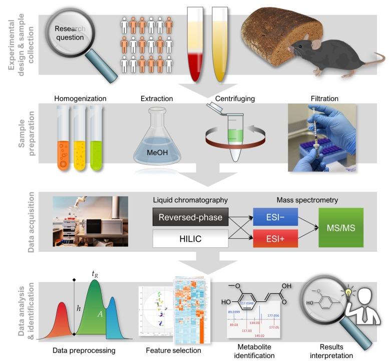 https://cdn.ncbi.nlm.nih.gov/pmc/blobs/0e37/7240970/311e7ad7ae81/metabolites-10-00135-g001.jpg