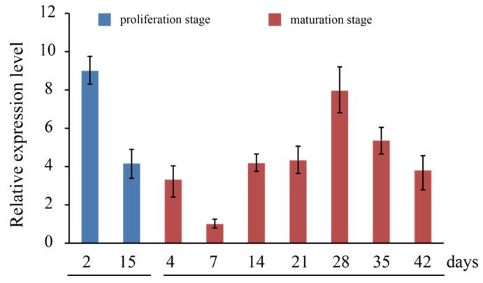 https://cdn.ncbi.nlm.nih.gov/pmc/blobs/0e38/8468589/cb13b5d1dfdd/genes-12-01435-g004.jpg