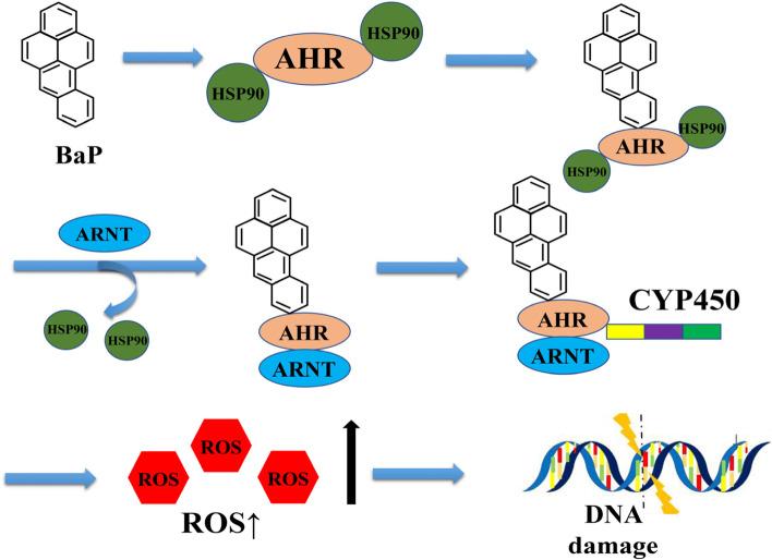 https://cdn.ncbi.nlm.nih.gov/pmc/blobs/0e39/10314634/8e213e67c4f8/41021_2023_278_Fig1_HTML.jpg