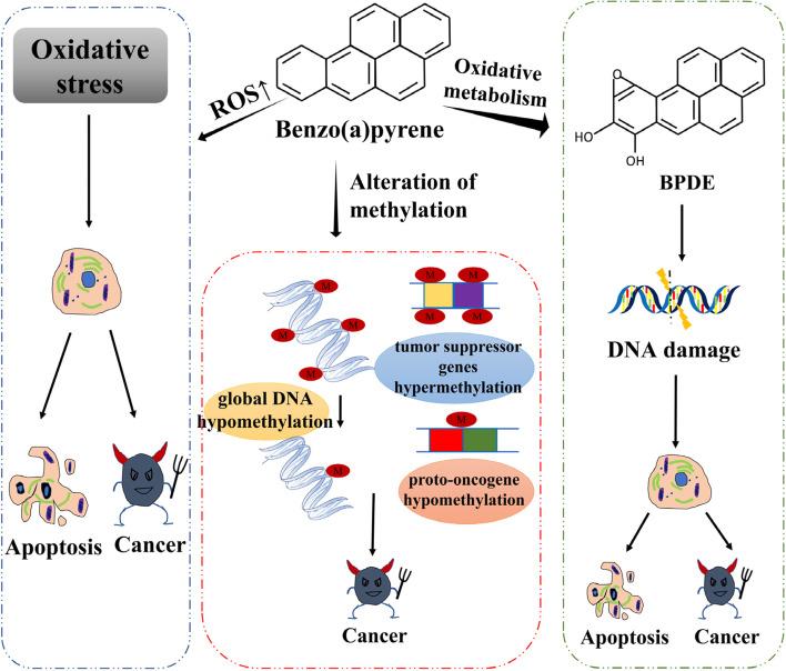 https://cdn.ncbi.nlm.nih.gov/pmc/blobs/0e39/10314634/9795c789b2d5/41021_2023_278_Fig2_HTML.jpg