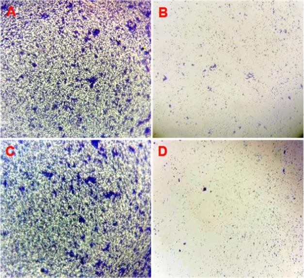 https://cdn.ncbi.nlm.nih.gov/pmc/blobs/0e39/9088959/20fc2806a211/ao1c07178_0010.jpg
