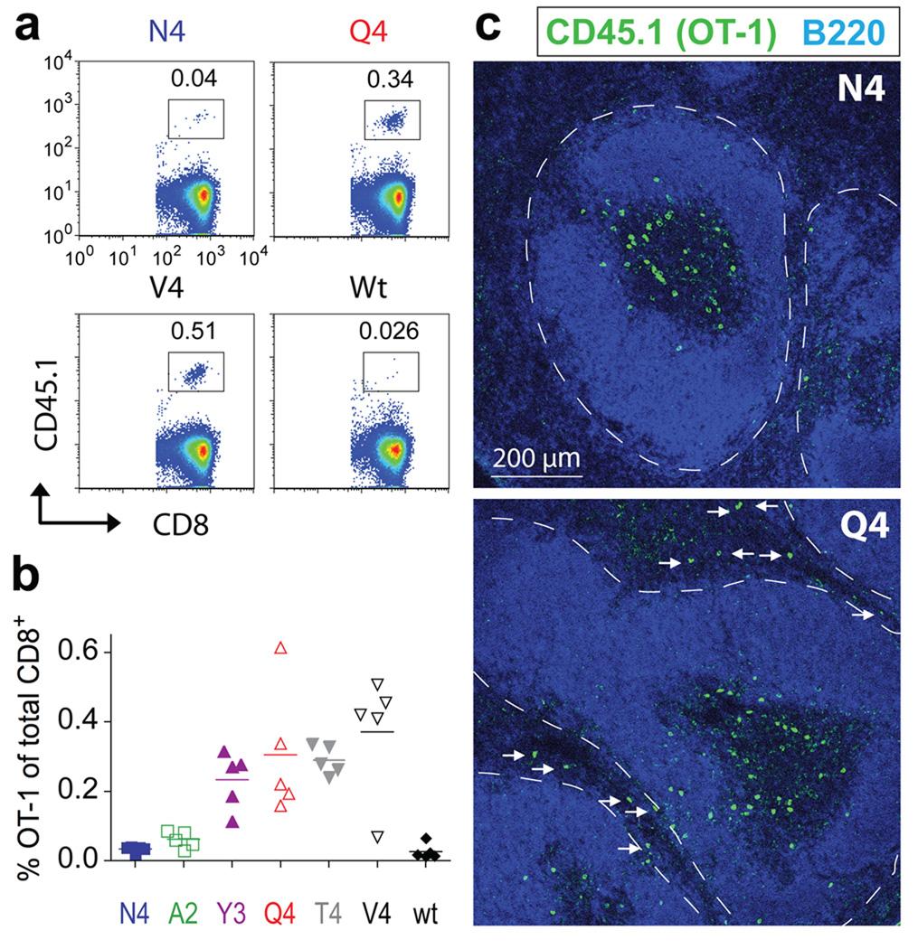 https://cdn.ncbi.nlm.nih.gov/pmc/blobs/0e3b/2735344/d03d8237a9ac/nihms103048f3.jpg