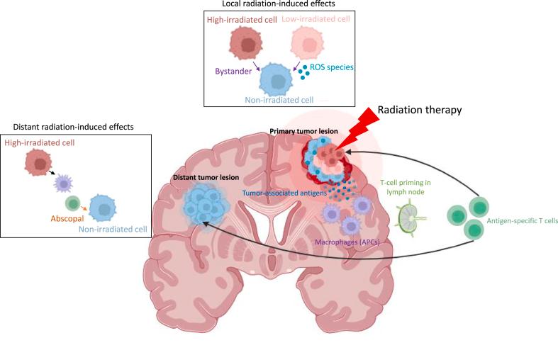 https://cdn.ncbi.nlm.nih.gov/pmc/blobs/0e3c/11109805/570375dd4515/gr5.jpg