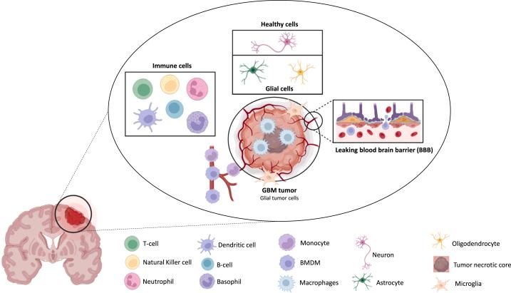 https://cdn.ncbi.nlm.nih.gov/pmc/blobs/0e3c/11109805/89c8d5da770b/gr1.jpg