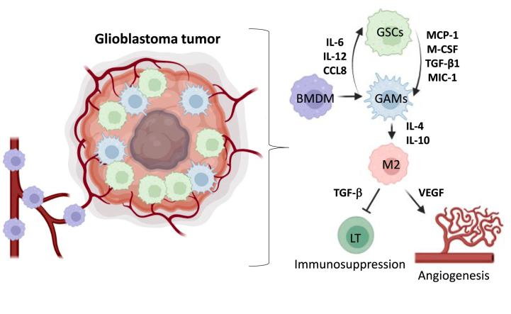 https://cdn.ncbi.nlm.nih.gov/pmc/blobs/0e3c/11109805/dd2d96dfc083/gr2.jpg