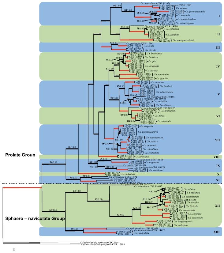 https://cdn.ncbi.nlm.nih.gov/pmc/blobs/0e3d/2886099/ef86ec4a2d77/31fig5.jpg
