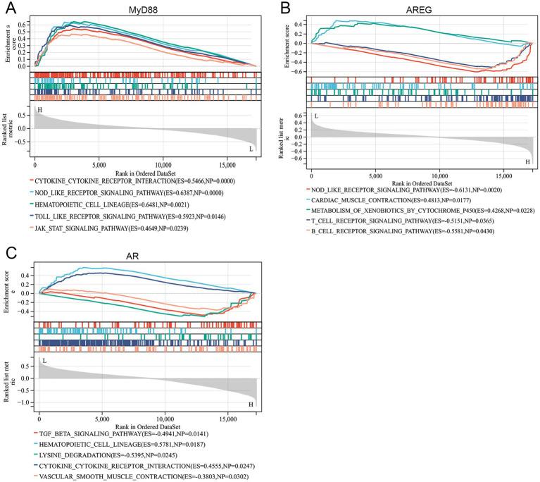 https://cdn.ncbi.nlm.nih.gov/pmc/blobs/0e3f/12329074/d48a9c657ff0/fneur-16-1554809-g005.jpg