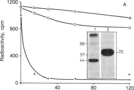 https://cdn.ncbi.nlm.nih.gov/pmc/blobs/0e43/304533/2aa2508377b7/pnas00272-0106-b.jpg
