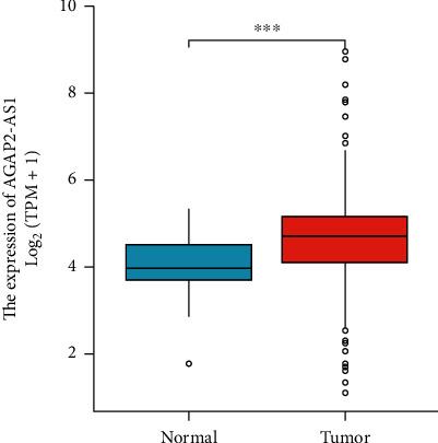 https://cdn.ncbi.nlm.nih.gov/pmc/blobs/0e45/9192260/b72abbccaf16/CMMM2022-1972516.001.jpg