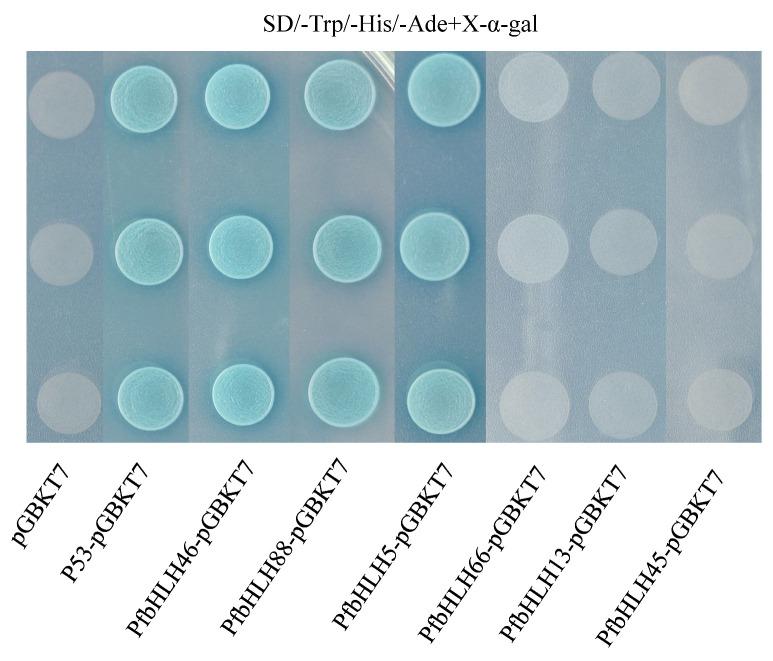 https://cdn.ncbi.nlm.nih.gov/pmc/blobs/0e46/11676305/8e58c1e23184/ijms-25-13717-g009.jpg