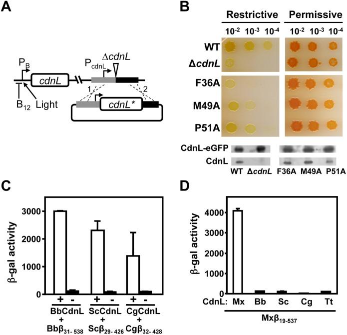 https://cdn.ncbi.nlm.nih.gov/pmc/blobs/0e46/4182748/2cfcda5f22ae/pone.0108946.g005.jpg