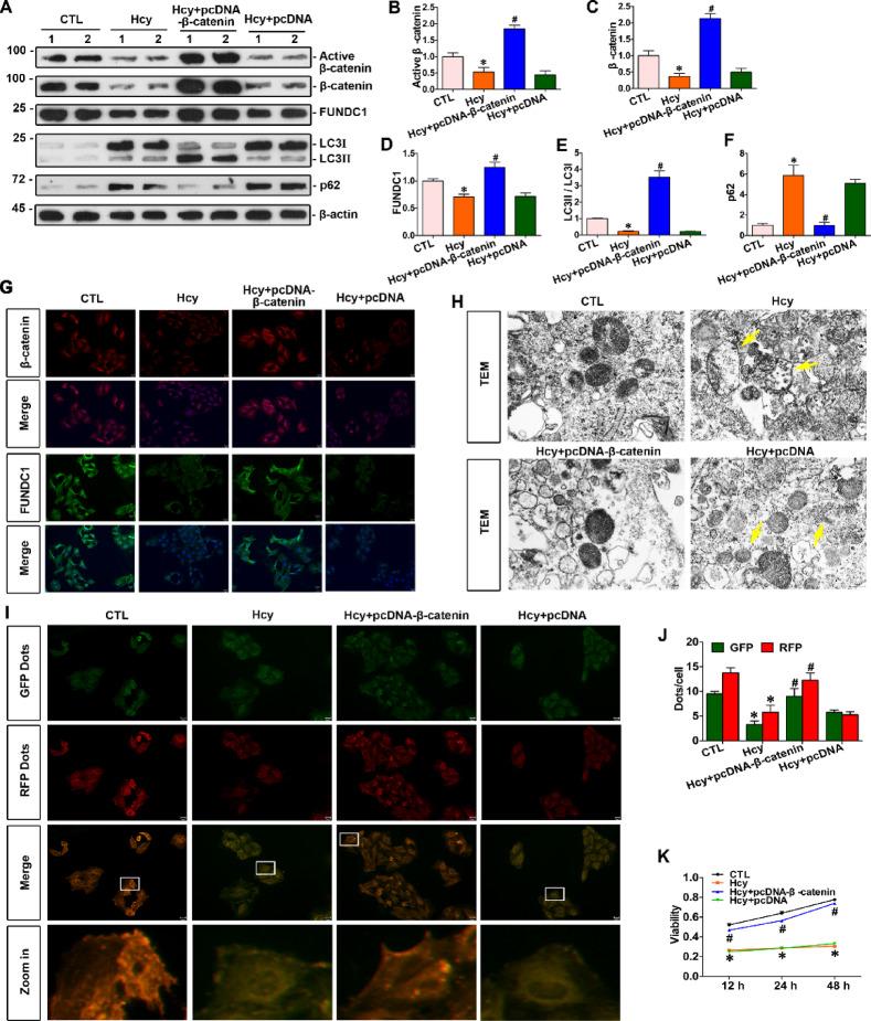 https://cdn.ncbi.nlm.nih.gov/pmc/blobs/0e48/12214670/54e0043aa621/41598_2025_6772_Fig3_HTML.jpg