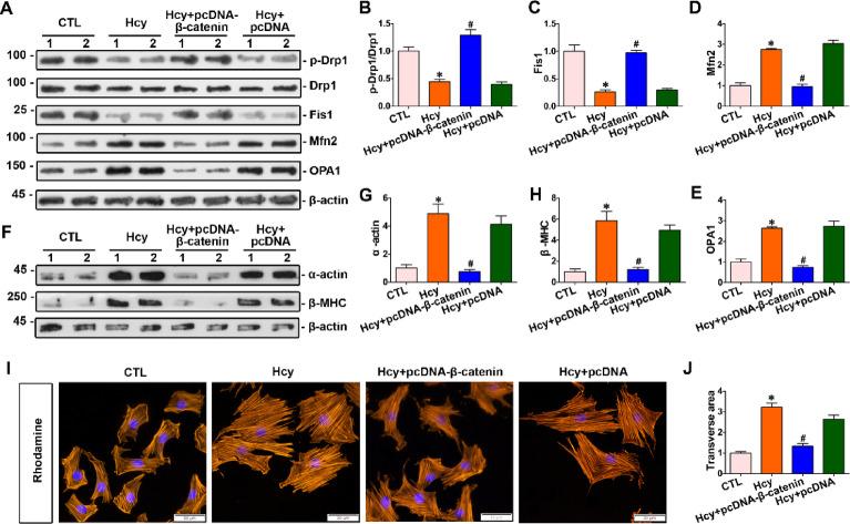 https://cdn.ncbi.nlm.nih.gov/pmc/blobs/0e48/12214670/c814d3a28c95/41598_2025_6772_Fig4_HTML.jpg