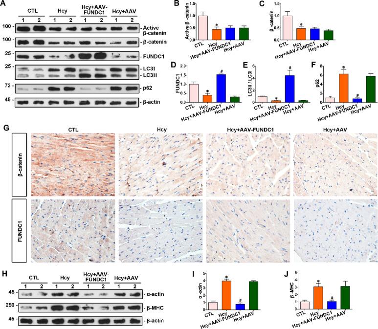 https://cdn.ncbi.nlm.nih.gov/pmc/blobs/0e48/12214670/d87655b1f441/41598_2025_6772_Fig5_HTML.jpg