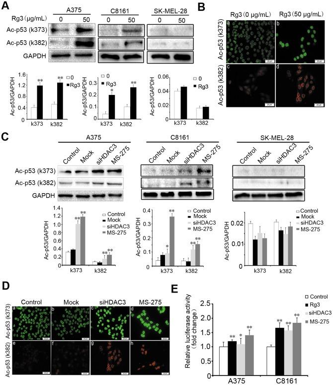 https://cdn.ncbi.nlm.nih.gov/pmc/blobs/0e48/4270766/9a3d96275d28/pone.0115401.g005.jpg