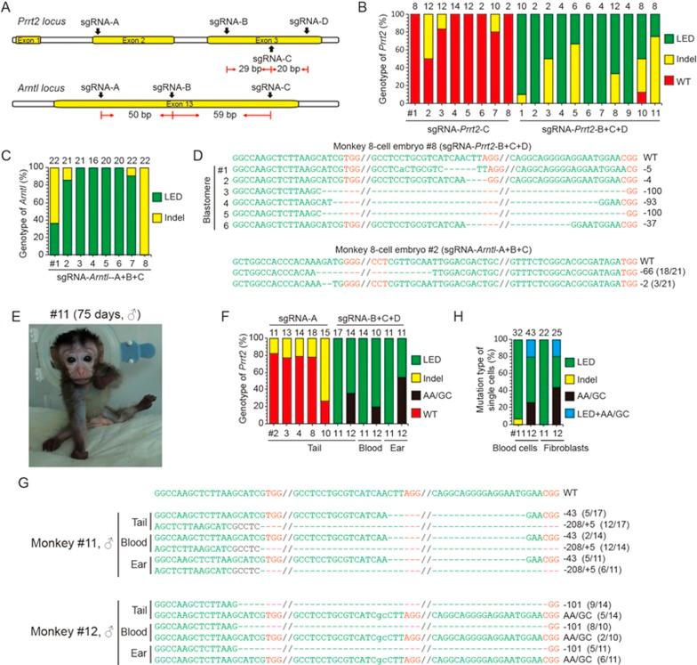 https://cdn.ncbi.nlm.nih.gov/pmc/blobs/0e4a/5518993/43290269c5b4/cr201781f5.jpg