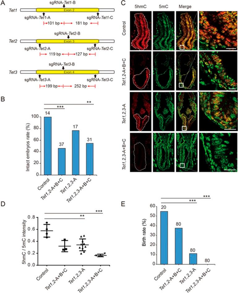 https://cdn.ncbi.nlm.nih.gov/pmc/blobs/0e4a/5518993/b61f0328d267/cr201781f3.jpg