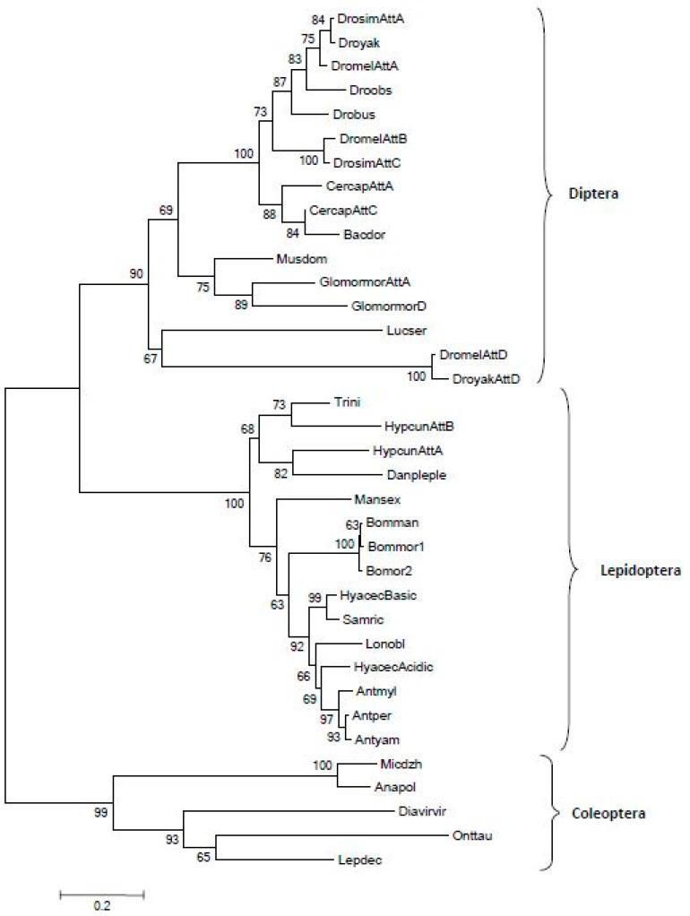 https://cdn.ncbi.nlm.nih.gov/pmc/blobs/0e4a/7924397/2f5a190703b3/antibiotics-10-00212-g002.jpg