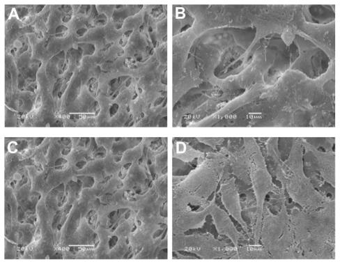 https://cdn.ncbi.nlm.nih.gov/pmc/blobs/0e4c/3173048/005dbdc1e68a/ijn-6-1853f4.jpg