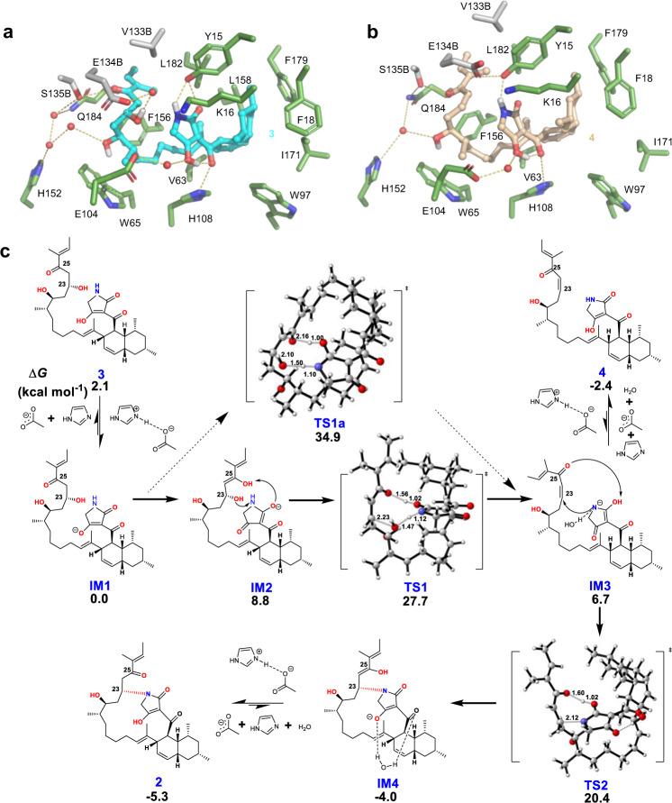 https://cdn.ncbi.nlm.nih.gov/pmc/blobs/0e4c/9349299/3eacab223e69/41467_2022_32088_Fig4_HTML.jpg