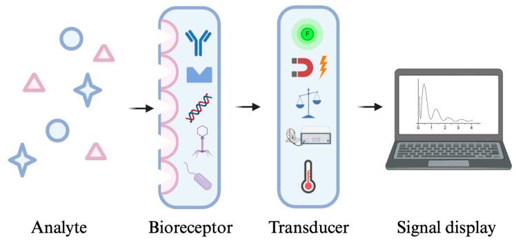 https://cdn.ncbi.nlm.nih.gov/pmc/blobs/0e50/11434534/e19e7598ad38/molecules-29-04415-g003.jpg