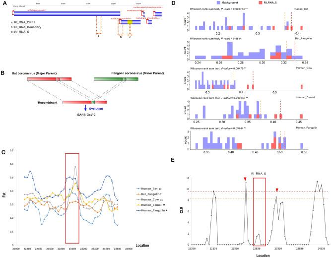 https://cdn.ncbi.nlm.nih.gov/pmc/blobs/0e50/7728743/32cbe4333c03/41598_2020_78703_Fig2_HTML.jpg