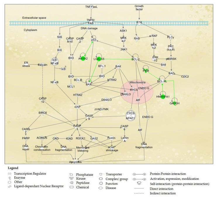 https://cdn.ncbi.nlm.nih.gov/pmc/blobs/0e52/8838174/e3fd5eead1eb/molecules-27-00585-g005.jpg