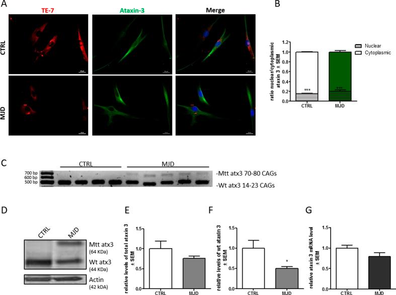https://cdn.ncbi.nlm.nih.gov/pmc/blobs/0e53/4916410/09d5c85dd24d/srep28220-f3.jpg