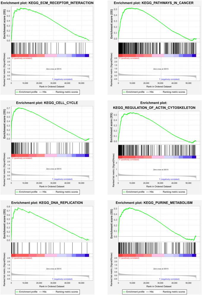 https://cdn.ncbi.nlm.nih.gov/pmc/blobs/0e53/8930926/aa0c56535417/fsurg-09-741726-g0006.jpg