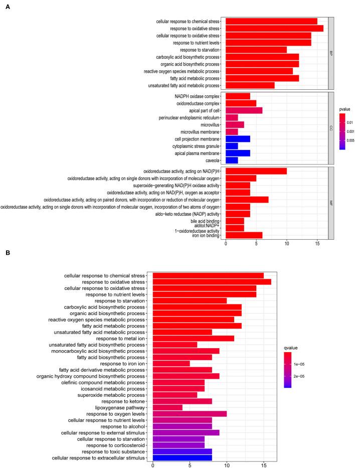 https://cdn.ncbi.nlm.nih.gov/pmc/blobs/0e53/8930926/b48b9c3582b2/fsurg-09-741726-g0001.jpg