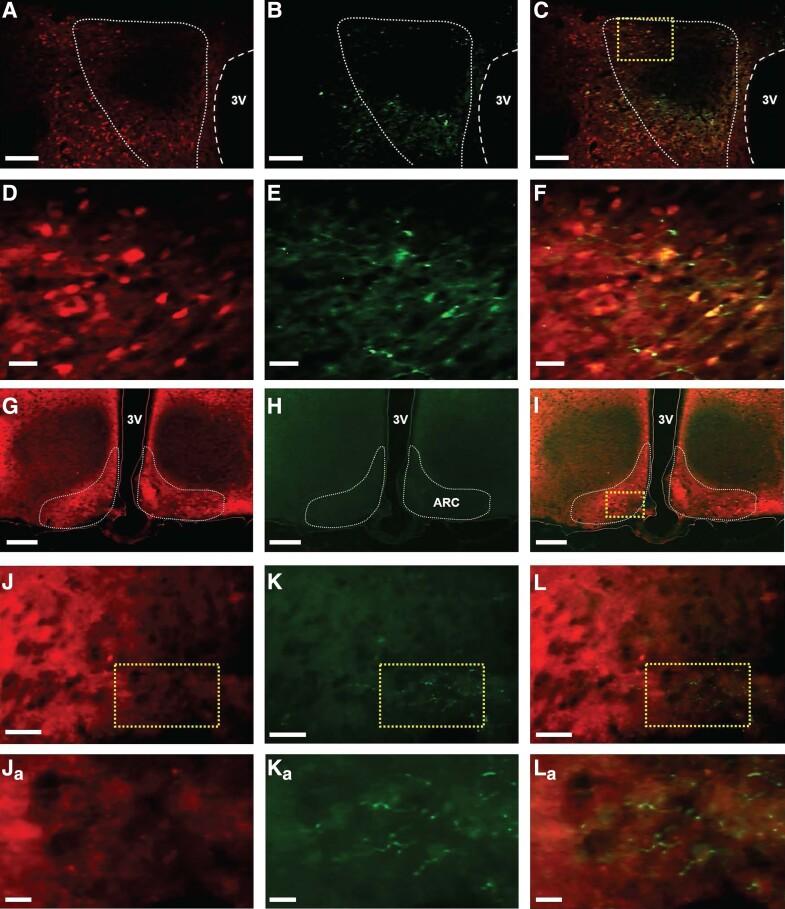 https://cdn.ncbi.nlm.nih.gov/pmc/blobs/0e54/10234117/c72a525bb9c7/bqad075f2.jpg