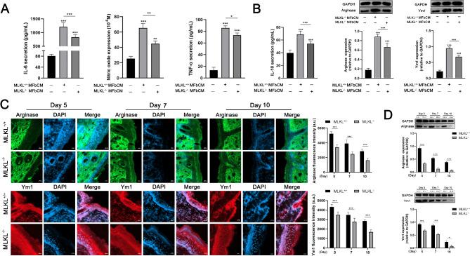 https://cdn.ncbi.nlm.nih.gov/pmc/blobs/0e54/12009362/504419e219da/41598_2025_97729_Fig6_HTML.jpg