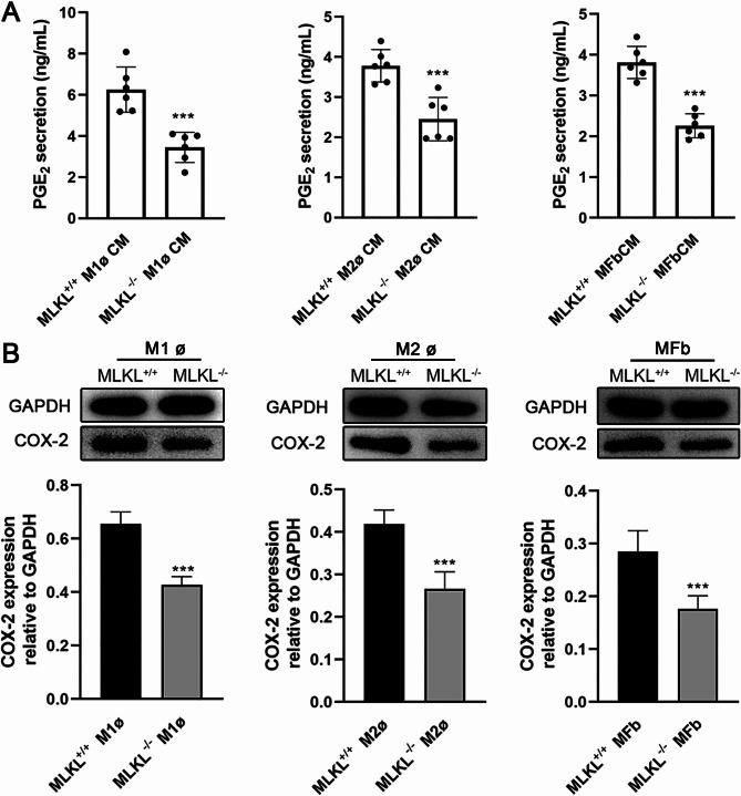 https://cdn.ncbi.nlm.nih.gov/pmc/blobs/0e54/12009362/9043fb6d2a18/41598_2025_97729_Fig7_HTML.jpg