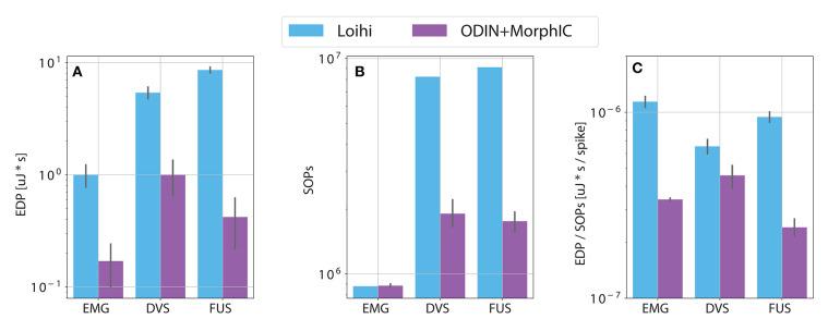 https://cdn.ncbi.nlm.nih.gov/pmc/blobs/0e54/7438887/317f85381793/fnins-14-00637-g0006.jpg