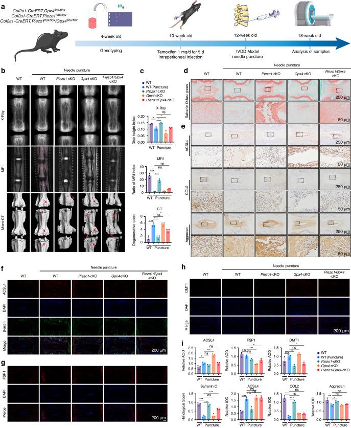 https://cdn.ncbi.nlm.nih.gov/pmc/blobs/0e55/10980708/0008a9200ad0/41413_2024_317_Fig6_HTML.jpg