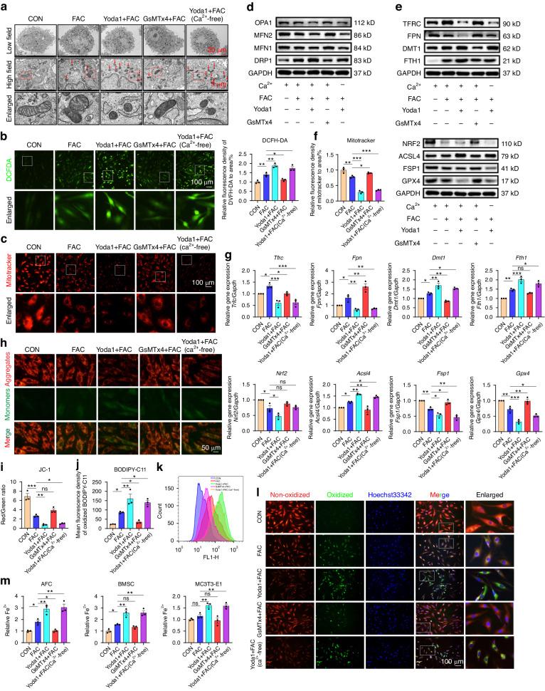 https://cdn.ncbi.nlm.nih.gov/pmc/blobs/0e55/10980708/fca287846e43/41413_2024_317_Fig4_HTML.jpg
