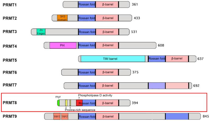 https://cdn.ncbi.nlm.nih.gov/pmc/blobs/0e55/8621972/39bd1bd00454/life-11-01132-g001.jpg