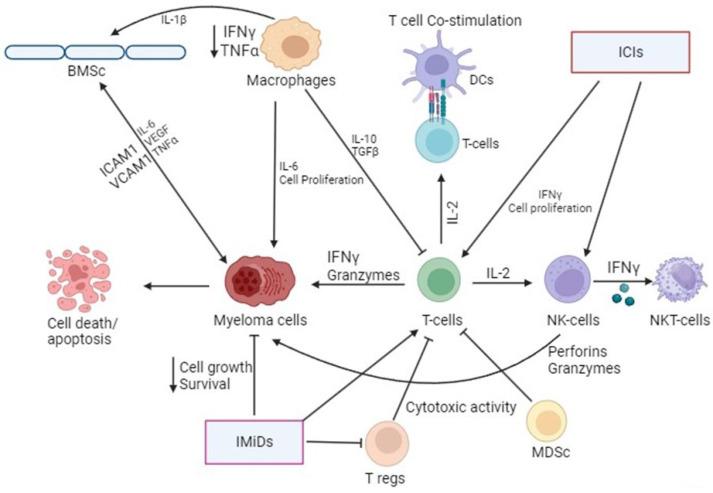 https://cdn.ncbi.nlm.nih.gov/pmc/blobs/0e57/11050867/5dd82b9a0d25/life-14-00461-g001.jpg