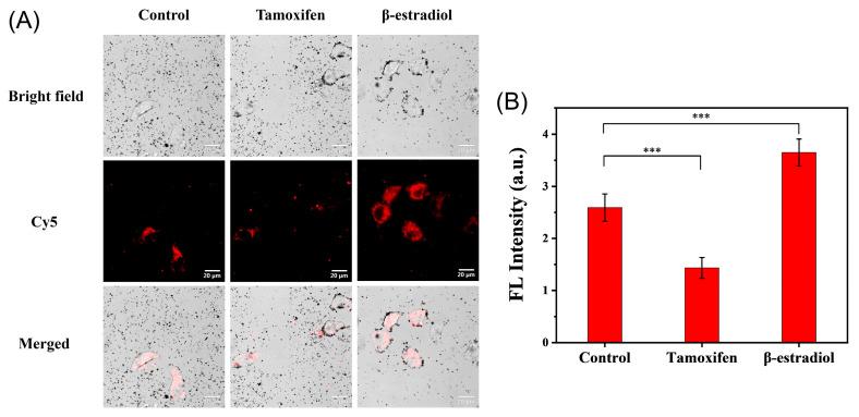 https://cdn.ncbi.nlm.nih.gov/pmc/blobs/0e59/12430423/93aa8ebe7627/molecules-30-03551-g005.jpg