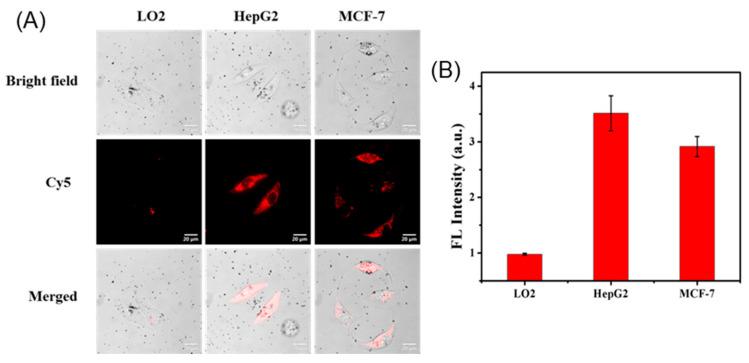https://cdn.ncbi.nlm.nih.gov/pmc/blobs/0e59/12430423/c8018e243cea/molecules-30-03551-g004.jpg