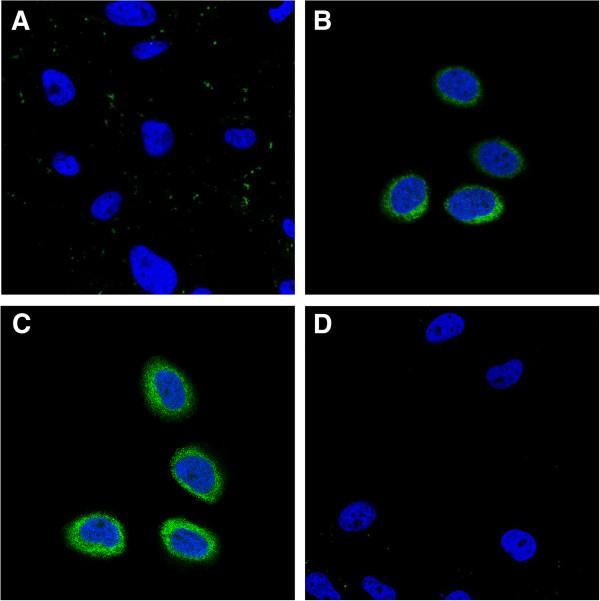 https://cdn.ncbi.nlm.nih.gov/pmc/blobs/0e59/4118220/329ff46faf22/1556-276X-9-363-6.jpg