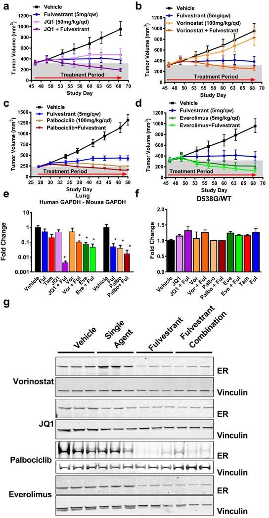 https://cdn.ncbi.nlm.nih.gov/pmc/blobs/0e5b/5342331/0e4acd764ff5/oncotarget-07-54120-g003.jpg