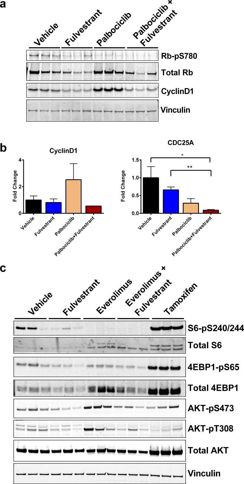 https://cdn.ncbi.nlm.nih.gov/pmc/blobs/0e5b/5342331/cc404c4b349a/oncotarget-07-54120-g005.jpg
