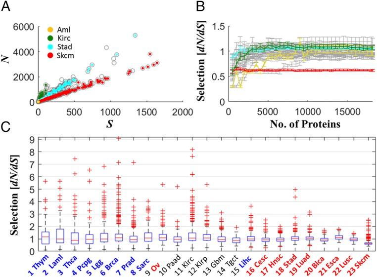 https://cdn.ncbi.nlm.nih.gov/pmc/blobs/0e5c/6255199/3ea4bf49a085/pnas.1807256115fig02.jpg