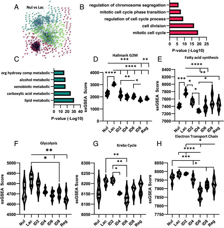 https://cdn.ncbi.nlm.nih.gov/pmc/blobs/0e5d/12184434/4d8dc3e8a4fa/pnas.2420174122fig02.jpg